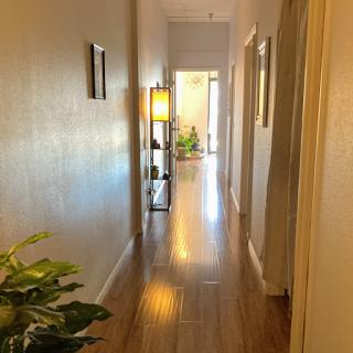A bright and inviting hallway with plants, soft lighting, and framed artwork.