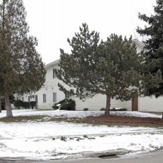 A snowy landscape with trees in front of a building.