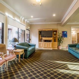 A cozy living room with sofas, a television, and elegant decor.
