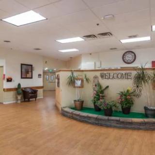 A welcoming reception area with plants and a waiting space.