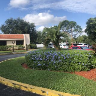 A serene view of a landscaped parking area with blooming flowers and surrounded by trees under a partly cloudy sky.