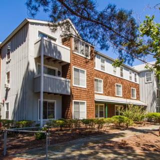 A modern apartment building surrounded by trees on a sunny day.