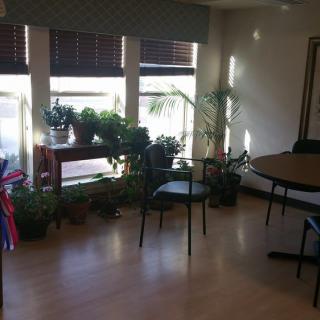 A cozy room with indoor plants near sunlit windows and seating area.