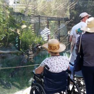 A group of people observing animals at the zoo, with one person in a wheelchair.