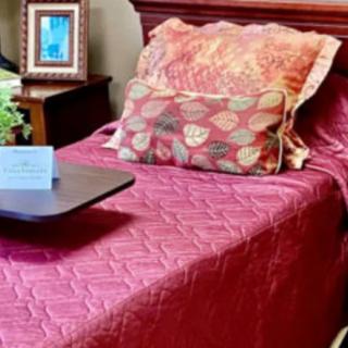 A neatly made bed with red and patterned pillows, a decorative bedspread, and a bedside table featuring a picture frame and plant.