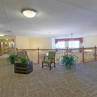 A cozy seating area in a lobby with chairs, plants, and a carpeted floor.