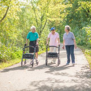 Three seniors enjoying a walk together in a sunny, wooded area.