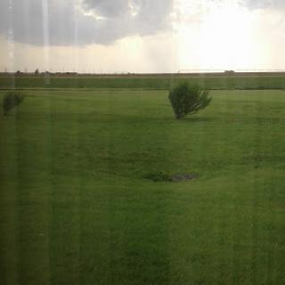 A serene landscape featuring green grass and scattered trees under a cloudy sky.