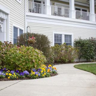 A well-maintained walkway with vibrant flowers leading to a house entrance.
