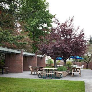 A peaceful outdoor area featuring picnic tables and patio umbrellas surrounded by lush trees and green grass.