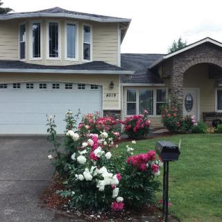 A residential house with a well-maintained garden and driveway.
