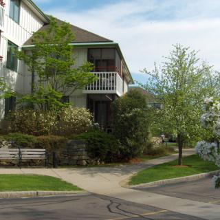 A residential building with a balcony surrounded by lush trees and a sidewalk in spring.