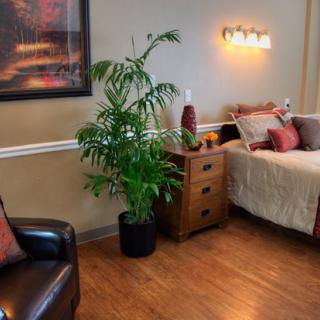 A cozy bedroom featuring a bed, wooden side table, potted plant, and decorative wall art.