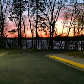 A tranquil sunset view by the water, framed by trees.