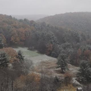 A serene view of a snowy forest landscape during autumn, showcasing the changing colors of the trees.