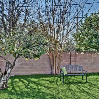 A peaceful garden with a bench under a tree and lush green grass.