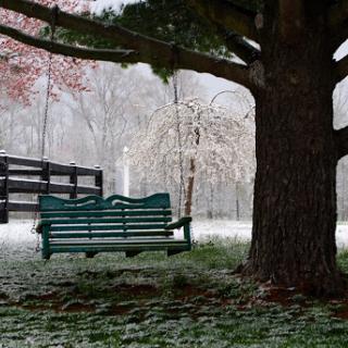 A cozy green swing under a snow-covered tree, creating a peaceful winter scene.