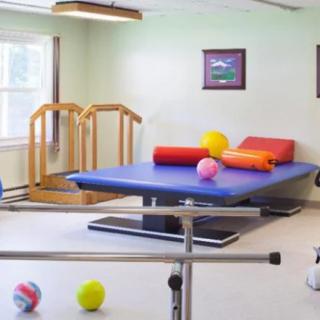 A bright physical therapy room equipped with parallel bars and colorful therapy balls.