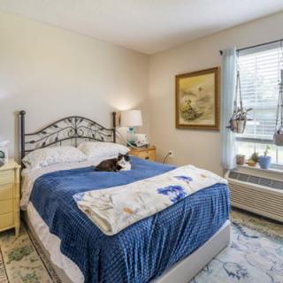 Cozy bedroom with a comfortable bed, adorned by a cat, beside a window letting in natural light.
