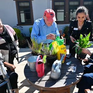 Participants engaged in a gardening session, planting and nurturing flowers together.