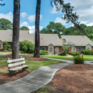 A peaceful residential area with a winding pathway, surrounded by lush greenery and tall trees.