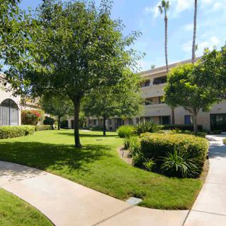 A serene courtyard featuring lush greenery and a winding pathway beside residential buildings.