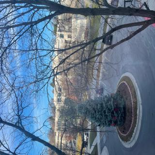 A view of an urban landscape with bare trees and a roundabout, against a blue sky.