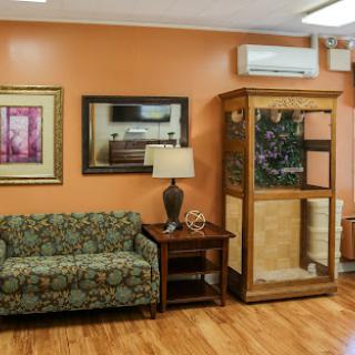 A cozy living room setup featuring a patterned couch, a wooden side table with a lamp, and decorative wall art.