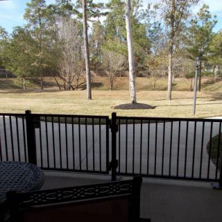 View of a backyard with a fence and trees.
