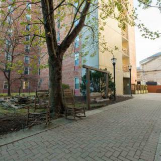 A peaceful urban courtyard with benches and a tree along the pathway between buildings.