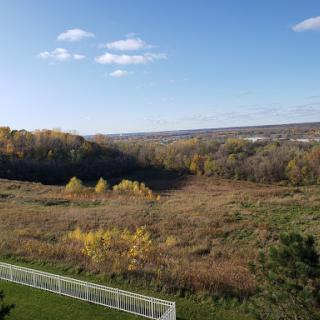 A serene autumn landscape showcasing a meadow framed by trees under a clear blue sky.