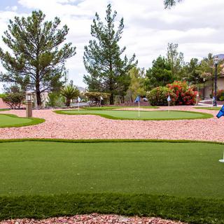 An outdoor putting green surrounded by trees and a landscaped area.