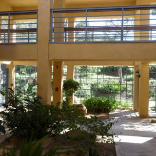 A sunlit courtyard featuring plants and architectural elements.