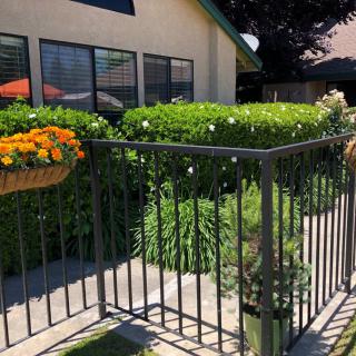 A sunny garden view with vibrant flowers, neatly trimmed hedges, and a black iron fence in front of a house.
