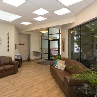 A modern reception area with comfortable sofas and indoor plants.