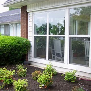 A view of a house exterior with a large window and neatly trimmed bushes in the garden.