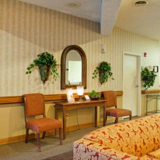 A cozy waiting area with chairs, a table adorned with plants and a mirror on the wall.