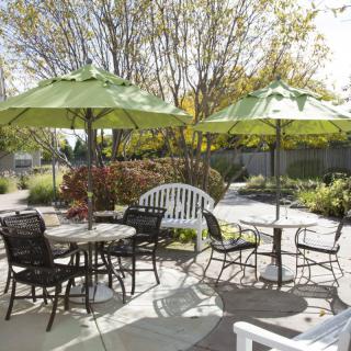A sunny outdoor patio with tables, chairs, and green umbrellas surrounded by a garden.