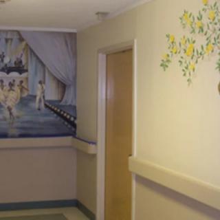 A hospital hallway with decorative murals on the walls.