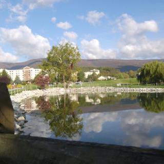 A tranquil lakeside scene with trees and buildings reflecting in the calm water under a partly cloudy sky.