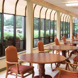 A bright and inviting dining area with wooden tables and chairs, surrounded by large windows.