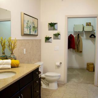 A neatly organized bathroom with a walk-in closet, featuring a toilet, sink, and decorative elements.