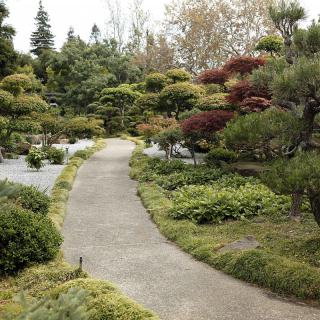 A serene garden pathway surrounded by lush shrubs and trees.