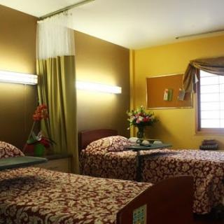 A cozy hotel room featuring two separate beds, vibrant wall colors, and floral decorations.