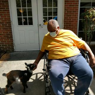 A person in a wheelchair wearing a mask pets a goat on a sunny patio.