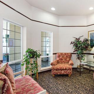 A cozy living room with a patterned armchair, sofa, indoor plants, and wall art.