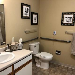 A well-equipped bathroom with handrails and decorative artwork.