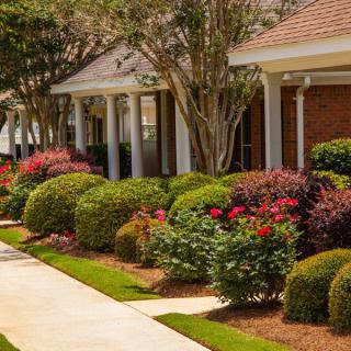 A well-maintained garden with shrubs and flowers lining a pathway in front of a house.