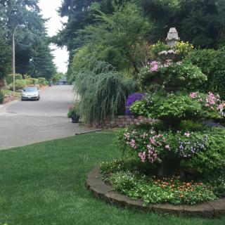 A beautifully landscaped garden with a variety of plants and flowers next to a quiet residential street.
