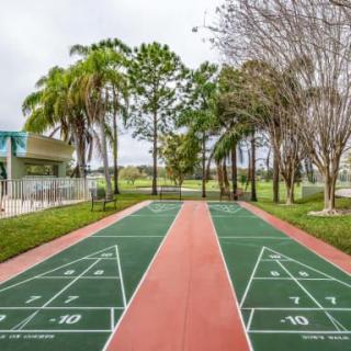 An outdoor shuffleboard court surrounded by palm trees and greenery.